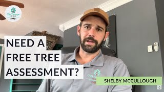 Hurricane Season Is Coming – Get A Free Tree Assessment Now