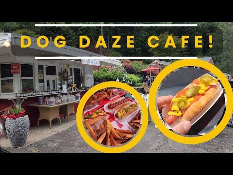 Dog Daze Café!  Wilton CT! | NYC Hot Dog Stands