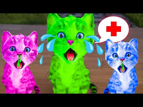 SPECIAL LITTLE KITTEN ADVENTURE LONG VIDEO - MY FAVORITE CAT ADVENTURE GAME (CARTOON VIDEO)