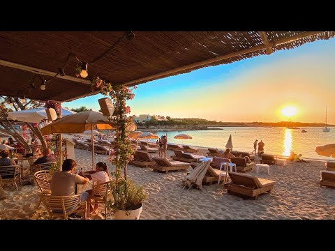 Meta Travel and 2 more