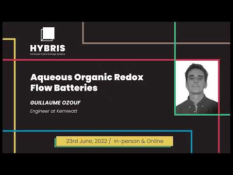 1st HYBRIS Workshop - Aqueous Organic Redox Flow Batteries by GUILLAUME OZOUF