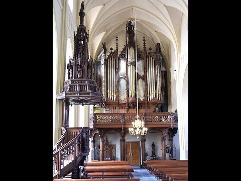 Franciscus Cornelius Smits orgel 1852 - St.-Servatiuskerk - Schijndel - Cor van Wageningen