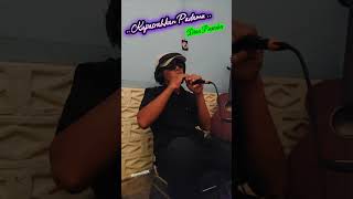 Download lagu Kupasrahkan Padamu - Dian Piesesha #harmonicaplayer mp3
