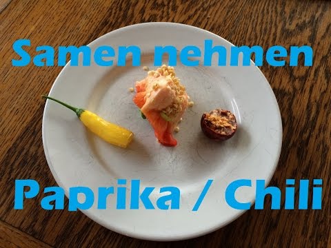 , title : 'Paprika und Chili Saatgut gewinnen | Samen nehmen #1'