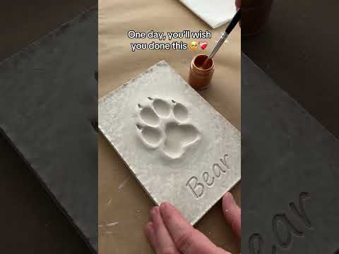 Send this to your dog lover friend 💕 #dog #pets #dogs # #doggys