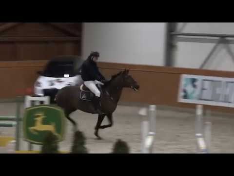 Devadesátka EquiTV z Velké túry ZJP v Královicích