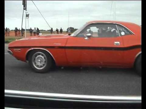 Challenger 340 vs hemicuda