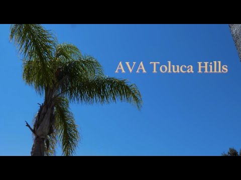 "Party in the Hills" AVA Toluca Hills Community