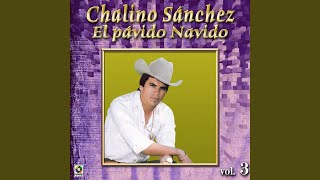 El Toro Gacho Y Merced