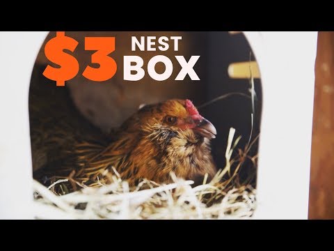 How To Make a Chicken Nest Box for $3