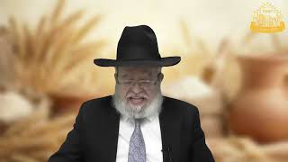 דף היומי בחצי שעה – מסכת מנחות דף ל”ג