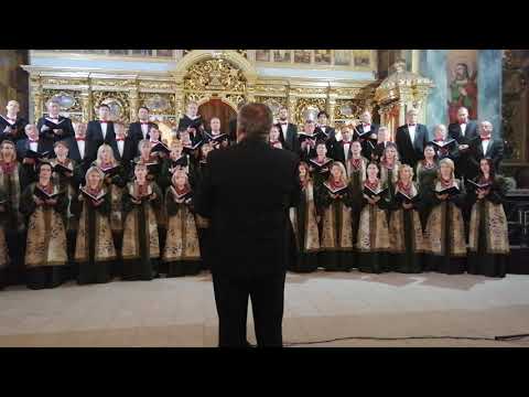 У Франківську урочисто розпочався фестиваль “Катедральні дзвони”. ВІДЕО. ФОТО