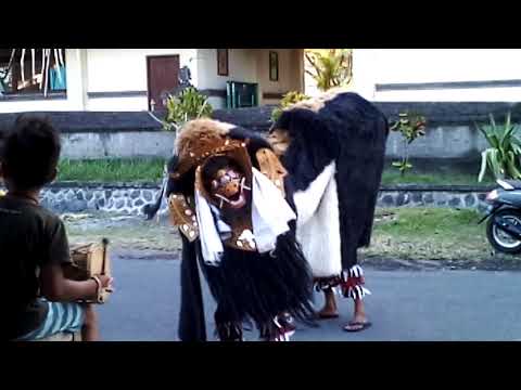 Barong bangkung sading 2019