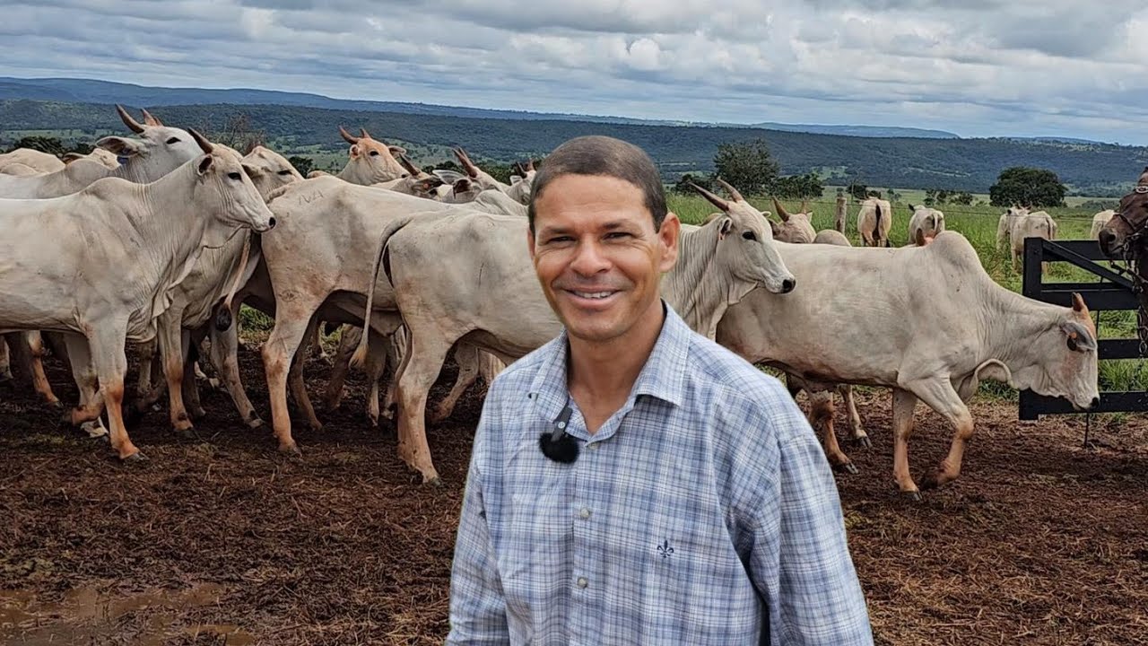 ELE MOSTROU CADA DETALHE DA FAZENDA QUE FOI REFORMADA PARA CRIAÇÃO DE NELORE