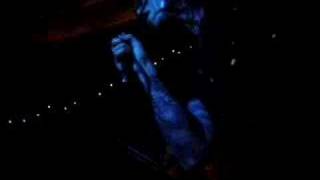 Too Much CSI -- Greeley Estates [live at the Social]