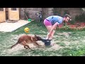 FUNNY Dog Pulls Down Pants Pet Bloopers