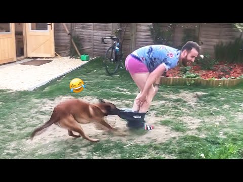 Un chien qui baisse ses pantalons 🤣 | un bêtisier d'animaux !