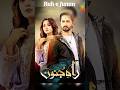 Rah E Junoon Drama Actor Danish Taimoor Best Dramas