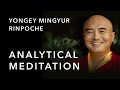 Abiding in Emptiness—Analytical Meditation | Yongey Mingyur Rinpoche