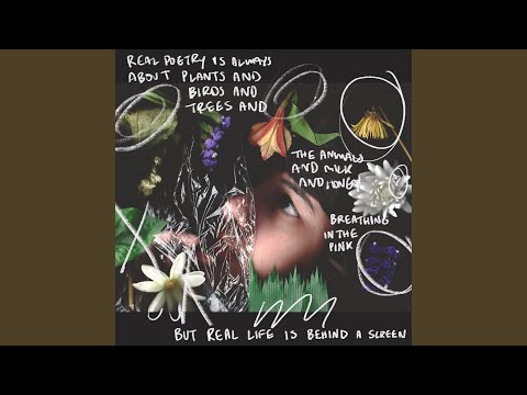 And I Forgot to be Scared