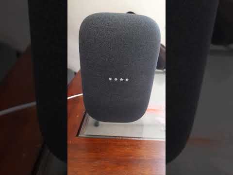 ok Google make a fart sound #google #googlenest #fartsound