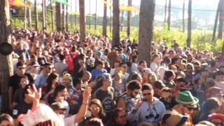 Paranormal Attack ( bosque encantado )