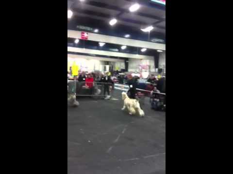 Toulouse classe inter