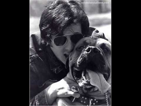 The True Story Of Rocky Balboa