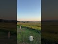 #Sunset at the high water mark #Gettysburg #CivilWar #Battlefield #history #landscape #vlog