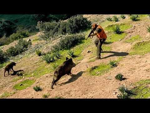 Hunting Wild Boar -Season :2026 || -KEMISSET -AIT IKOU TRIWA - PART 3