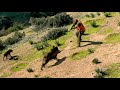 Hunting Wild Boar Season 2026 KEMISSET AIT IKOU TRIWA PART 3