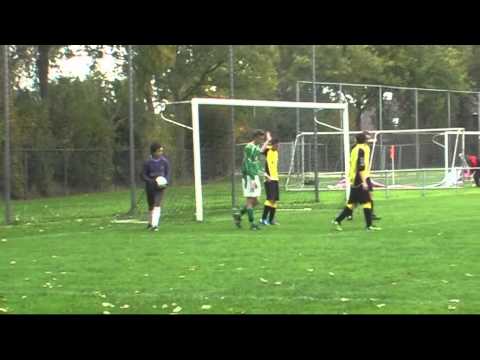 Comb Harl_Robur B1-Zeerobben B1