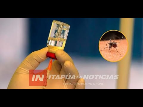 REPORTAN BAJO ÍNDICE DE VACUNACIÓN CONTRA EL DENGUE EN ITAPÚA