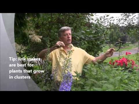 Staking Perennials with Mark Cullen