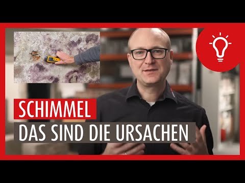 Schimmel - Wie entsteht er? Ursachen und Präventionsmaßnahmen