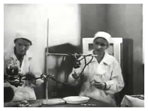 children of leir - germinal