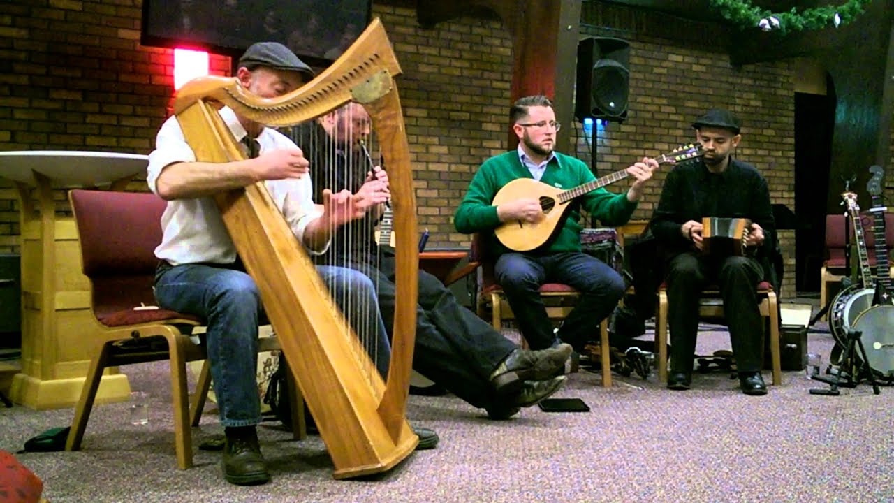 Promotional video thumbnail 1 for Harpist Turner Collins