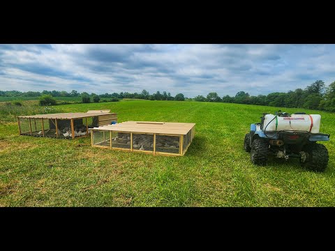 Rugged Ranch Poultry Waterer Review