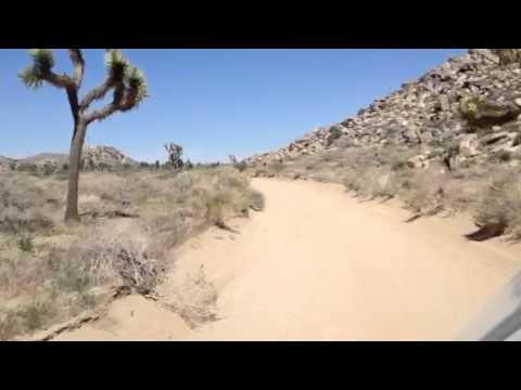 Joshua Tree National Park