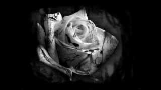 Roses - Seether (Lyrics)