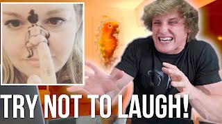 TRY NOT TO LAUGH CHALLENGE! (Good Luck!)