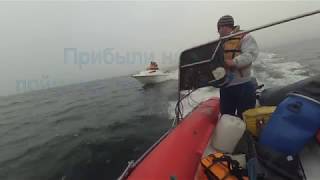 На что ловят треску в пертоминске