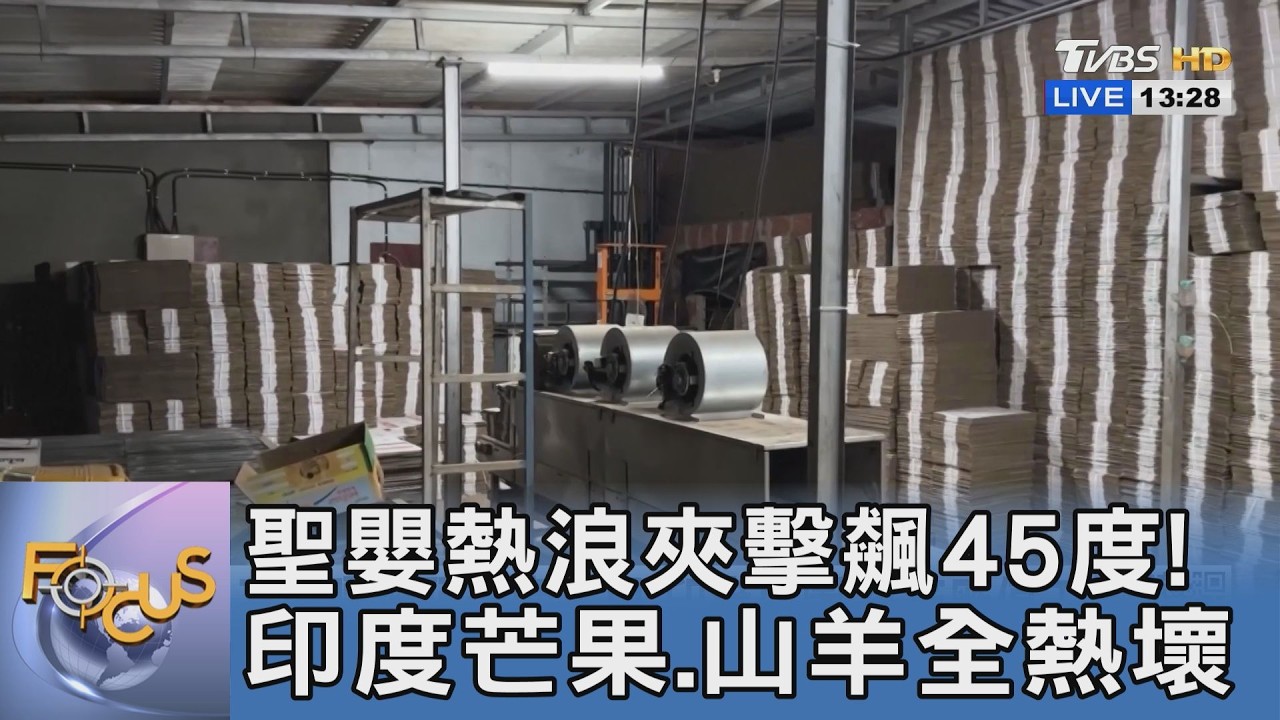 聖嬰熱浪夾擊飆45度!印度芒果、山羊全熱壞