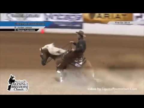 Wimpys Little Colonel Prova de Rédeas