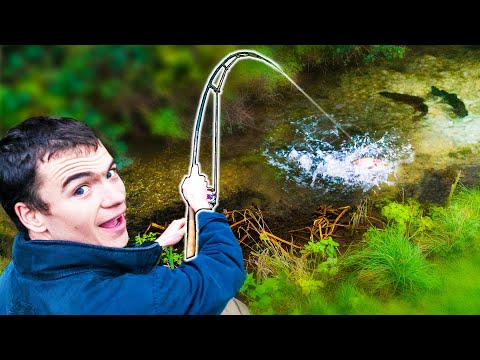 Artsfiskeri - 48 timers artskonkurrence med Carl og Alex