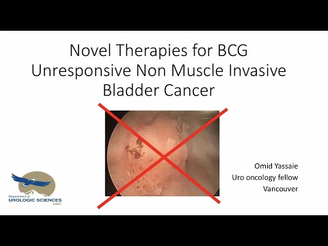 Novel Therapies to Non Muscle Invasive Bladder Cancer