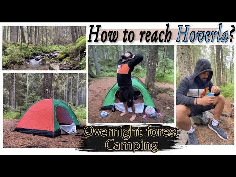 Overnight Camping in the Forest | How to reach Hoverla Mountain? #говерла #hoverla