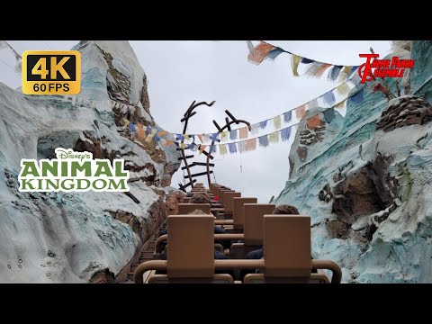 Expedition Everest Full Ride in 4K -  Walt Disney World Animal Kingdom - September 2023