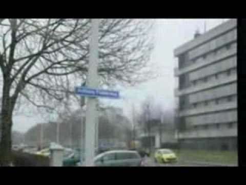 day   45    lexy    2010