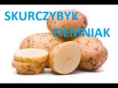 Receptą imbiru zwiększenie potencji u mężczyzn Zioła, które zwiększają potencjał dla mężczyzn